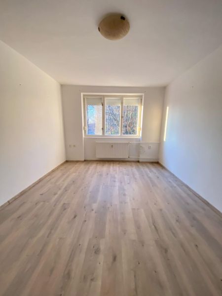 A room with a wooden decor floor and light, suitable for a studio apartment.