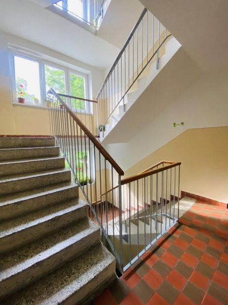 A staircase in an apartment building with flowers on the windowsill and a railing.