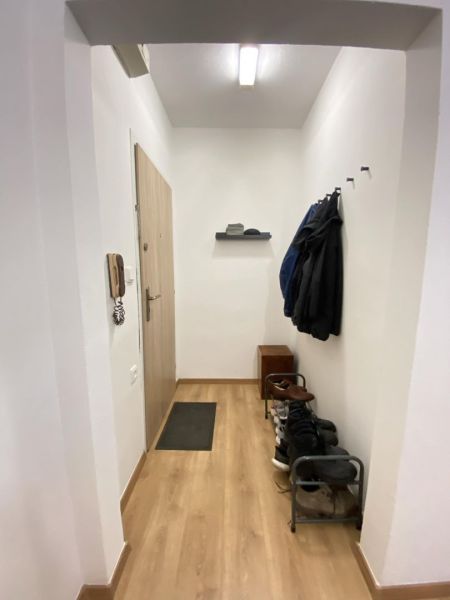 Entrance hallway in a one-room apartment with a wooden decor floor and a shoe cabinet.