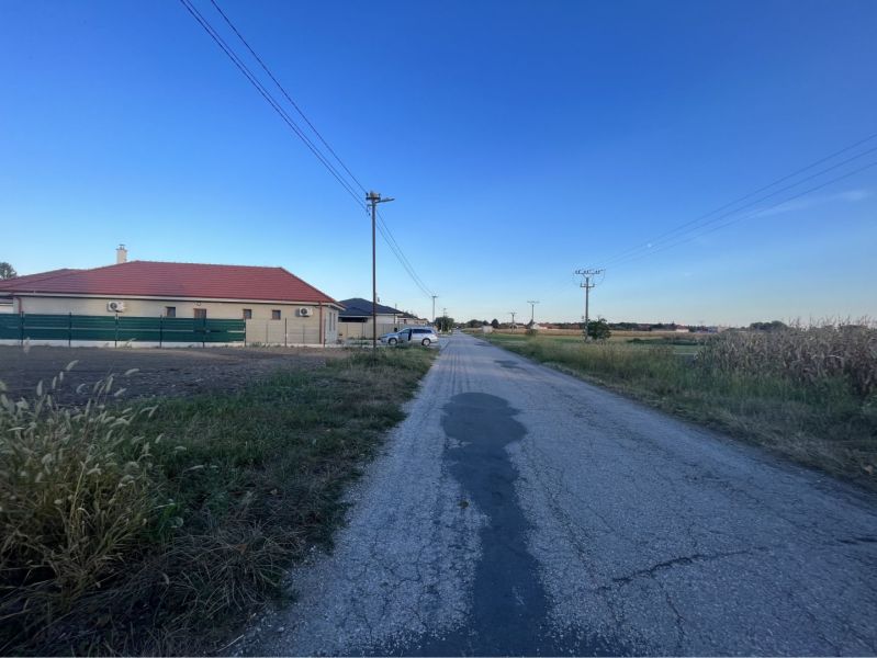 A road and family houses in Holice surrounded by residential plots.