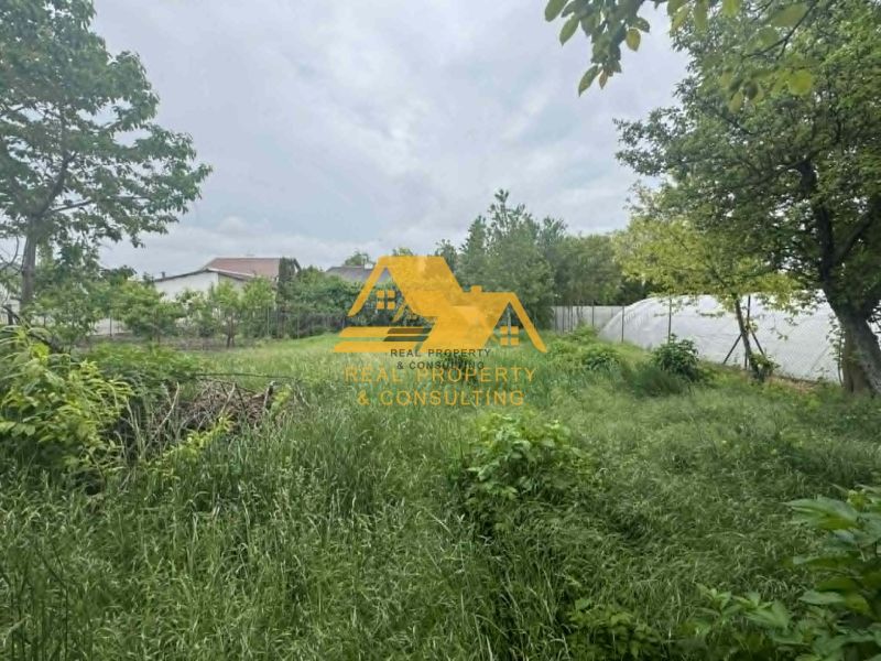 Garden and greenery on plots designated for housing in Andovce on Andovce Street.