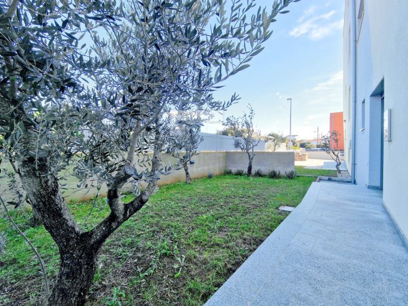 Exterior in PETRČANE with courtyards and greenery near a 3-room apartment.