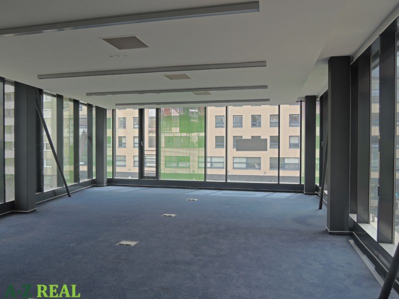 Office interior with large windows and blue carpet.