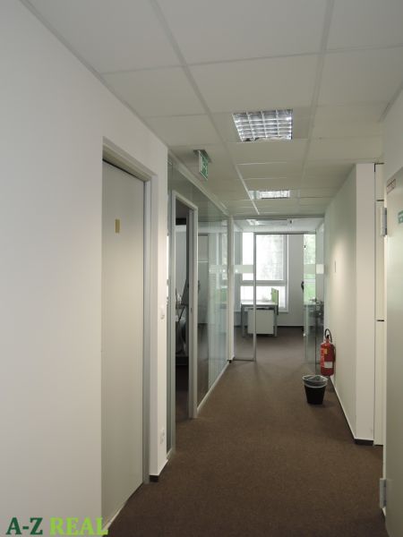 Offices with white walls, glass partitions, and carpeted floors.