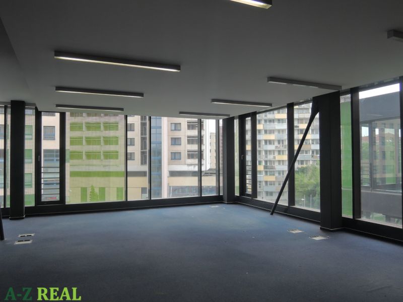Empty office space with large windows and blue carpet.