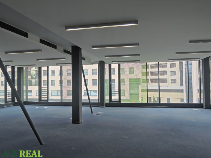 The interior of offices with large windows, carpeted floors, and ceiling lighting.