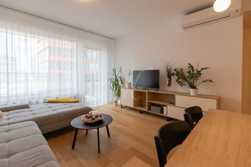 Living room in a two-room apartment with a wooden decor floor, sofa, and television.