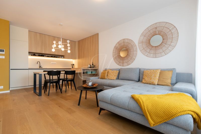 Living room with a kitchen in a 2-room apartment, wooden decor flooring, light-colored sofa.