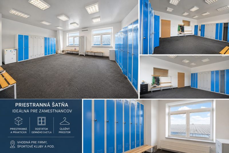 Locker room with blue and white lockers, plenty of natural light, suitable for employees.