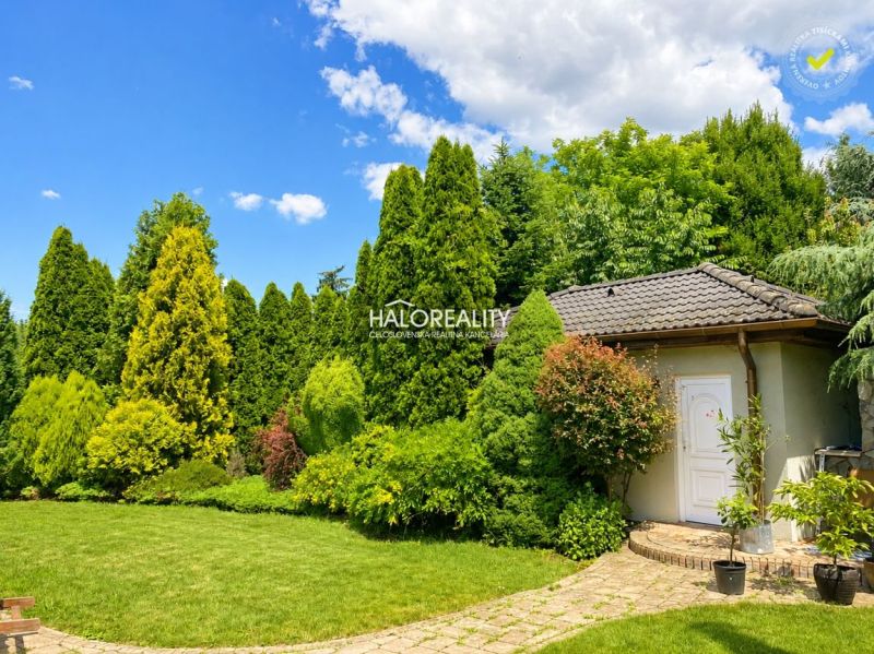 The garden of a family house in Žabokreky nad Nitrou with a lawn and dense shrub planting.