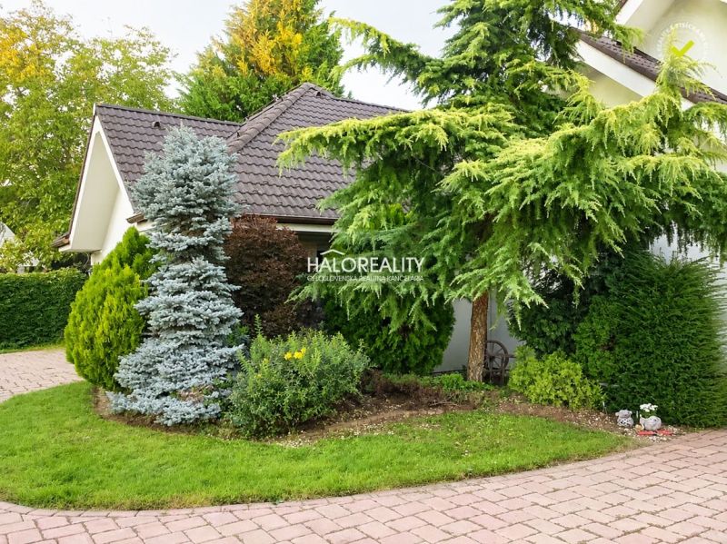A family house in Žabokreky nad Nitrou with trees and a landscaped garden.