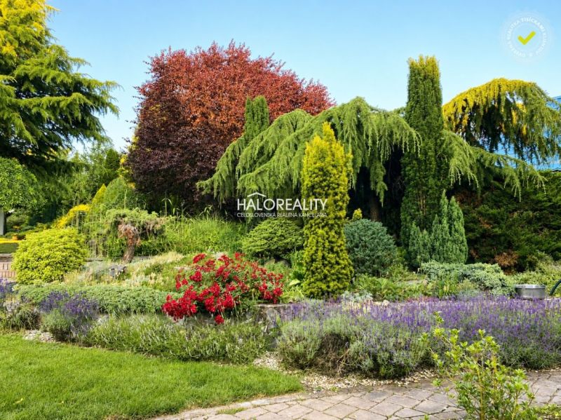 A garden at a family house in Žabokreky nad Nitrou full of colorful vegetation and shrubs.