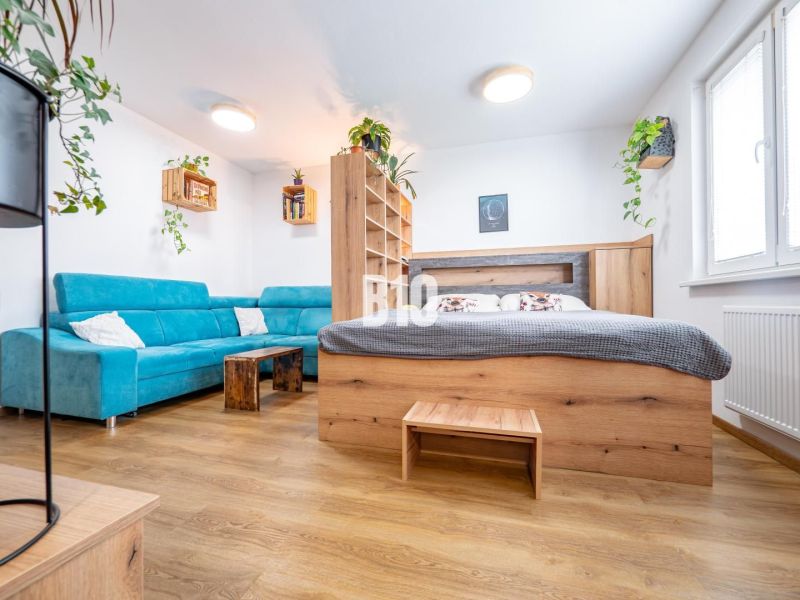 Living room with a blue sofa, wooden decor, and plants in a studio apartment.