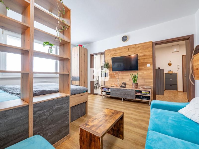 A one-room apartment with wooden decor, a bright living room, a blue sofa, and decorative plants.