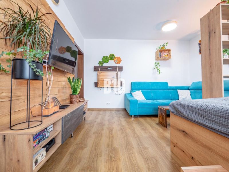 A one-room apartment with a blue sofa, a wooden decor floor, greenery, and a TV on the wall.