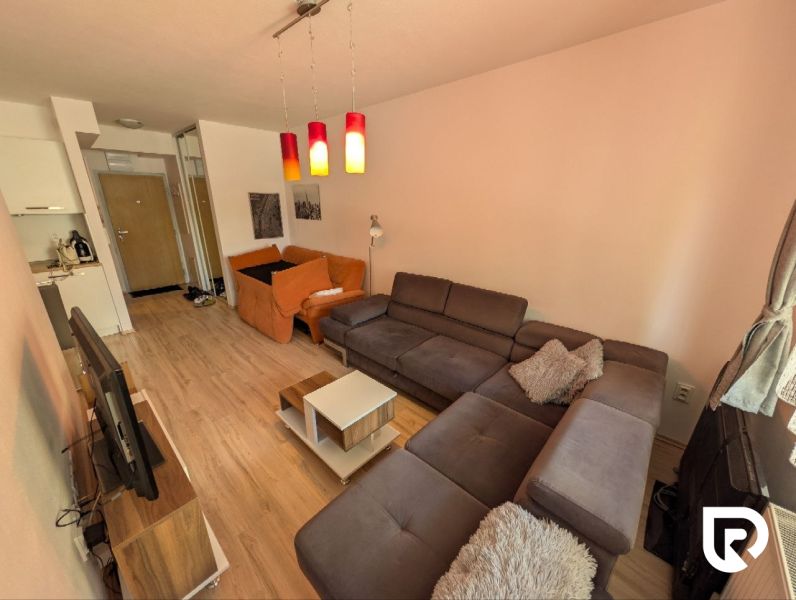 Living room in a two-room apartment with a sofa and a wooden decor floor.