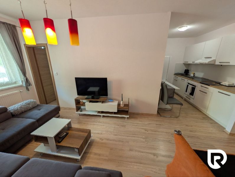 Living room of a two-room apartment with a wooden decor floor, a sofa, and a kitchen unit.