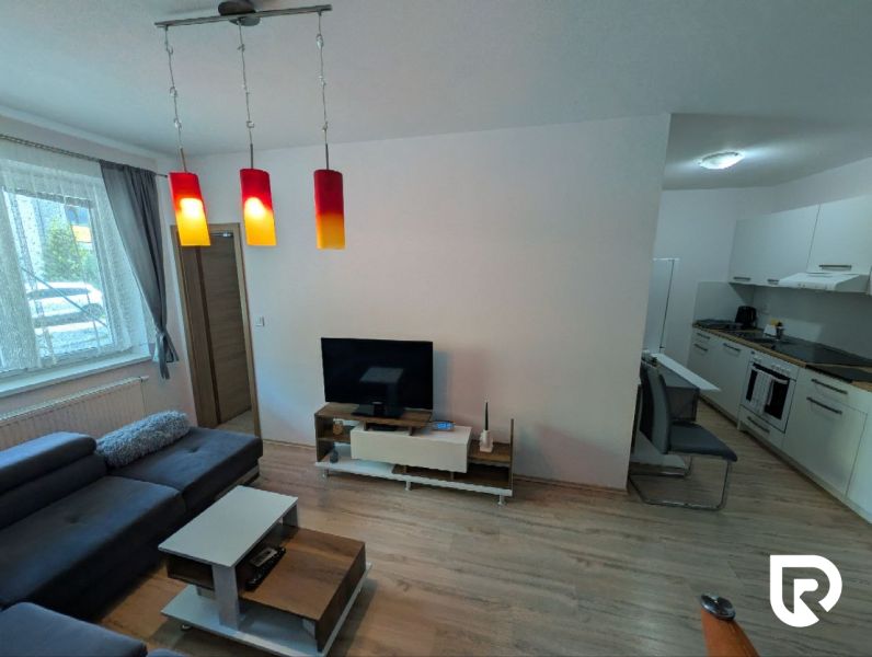 Living room in a two-room apartment with a sofa, television, and kitchenette, floor with wooden decor.
