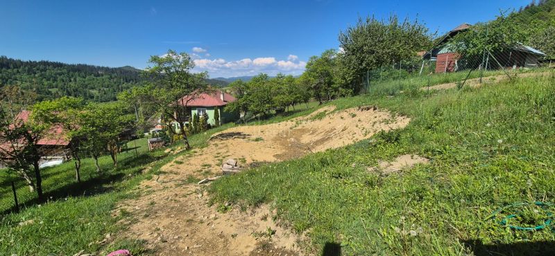Greenery and hilly residential land on Trnovec Street, Lodno.