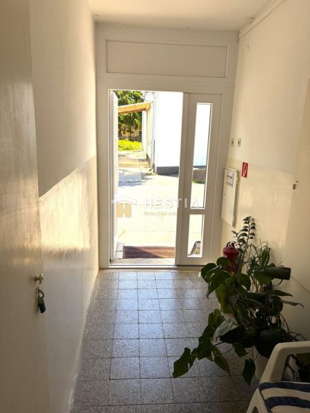 A corridor in commercial premises with tiles and a plant by the door to the terrace.