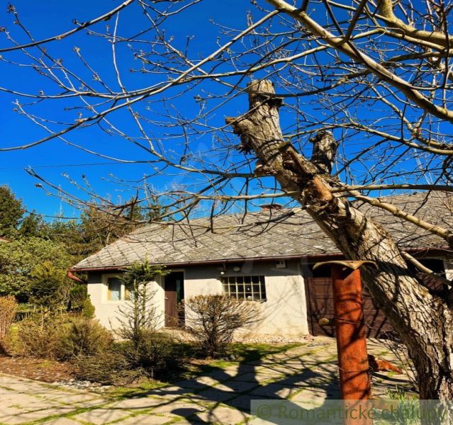 A family house in Nové Hony with bare trees and a stone path under a blue sky.