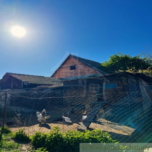 A family house in Nové Hony with yards and a poultry enclosure.