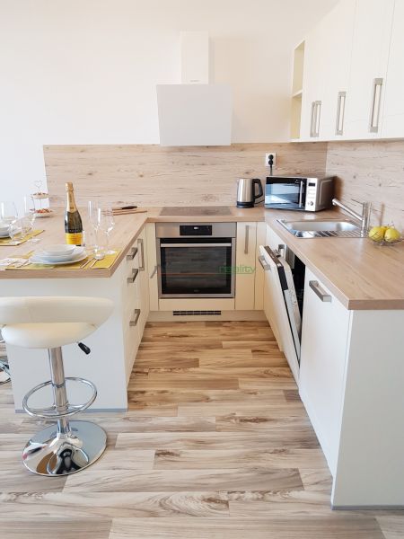 A kitchen in a studio apartment with furnishings and a wooden decor floor.