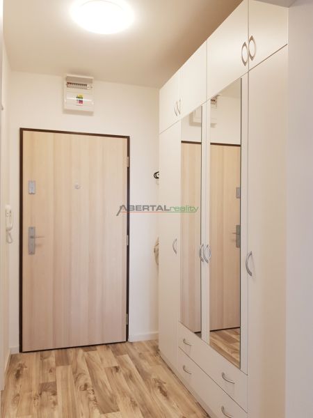 A hallway in a one-room apartment with a wooden decor floor and a white wardrobe.