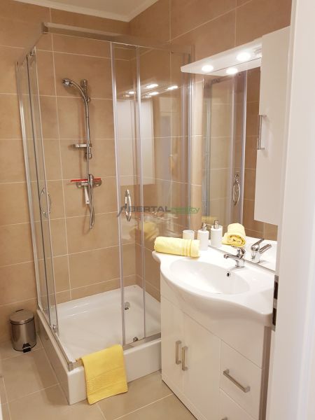 A bathroom with a corner shower and a sink in a studio apartment.