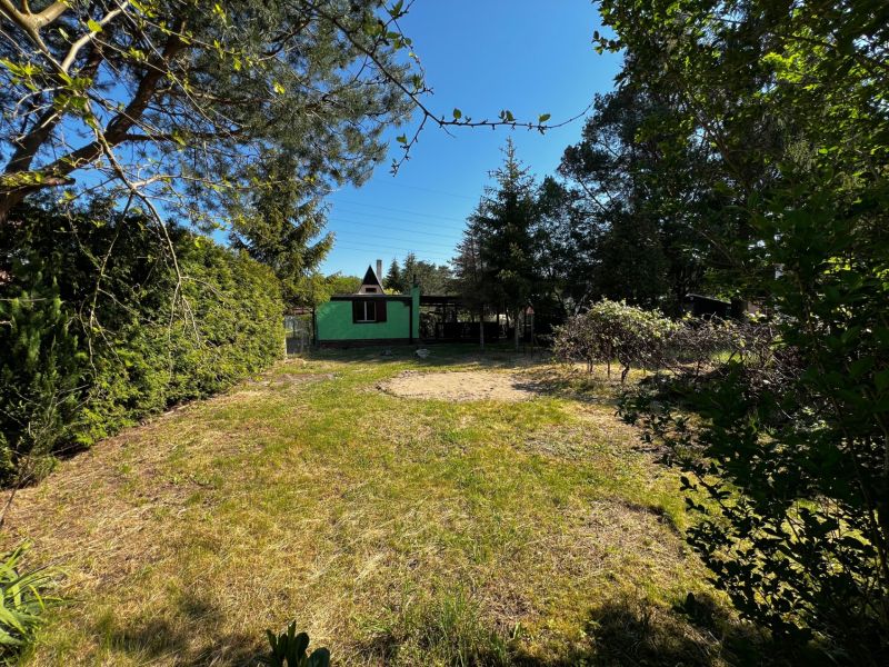 A garden in Lozorno with a small house surrounded by greenery and trees, blue sky.