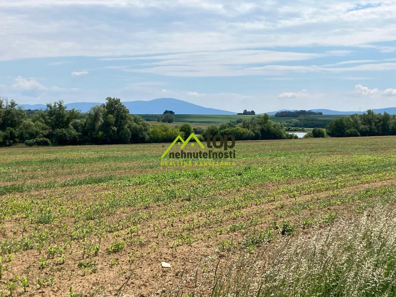 The landscape in Krtovce with residential plots, surrounded by greenery and hills on the horizon.