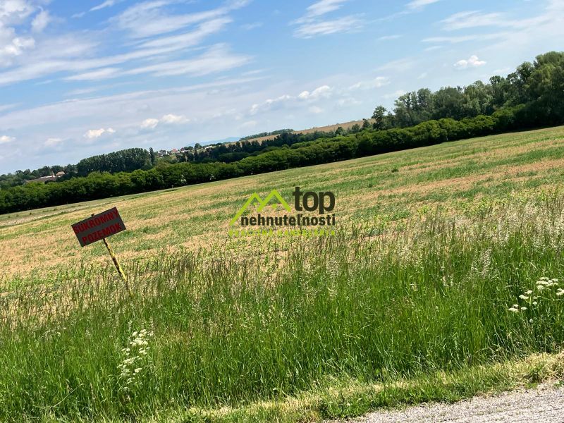 Land - housing in Krtovce: vast green fields under a blue sky.