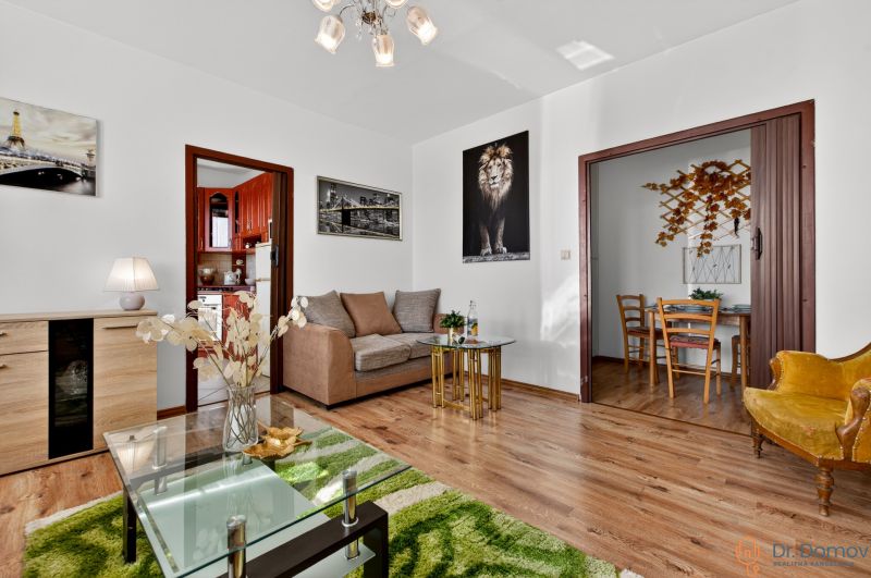Living room in a two-room apartment with a sofa, table, and wooden decor flooring.