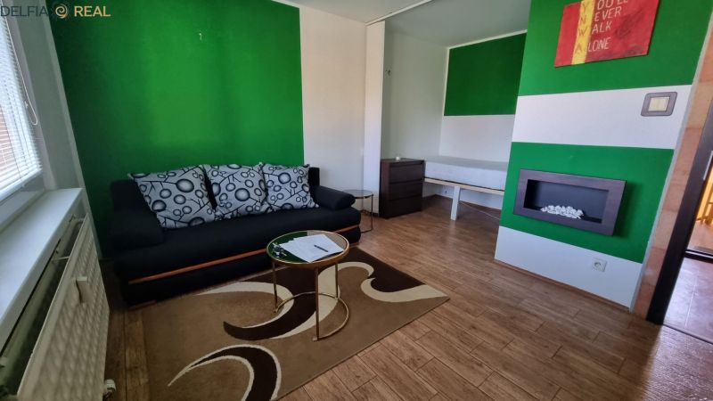 Living area in a studio apartment with a sofa, carpet, and wood-patterned flooring.
