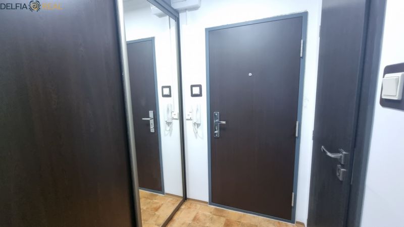 Entrance hallway with a mirrored wardrobe and dark doors in a studio apartment.
