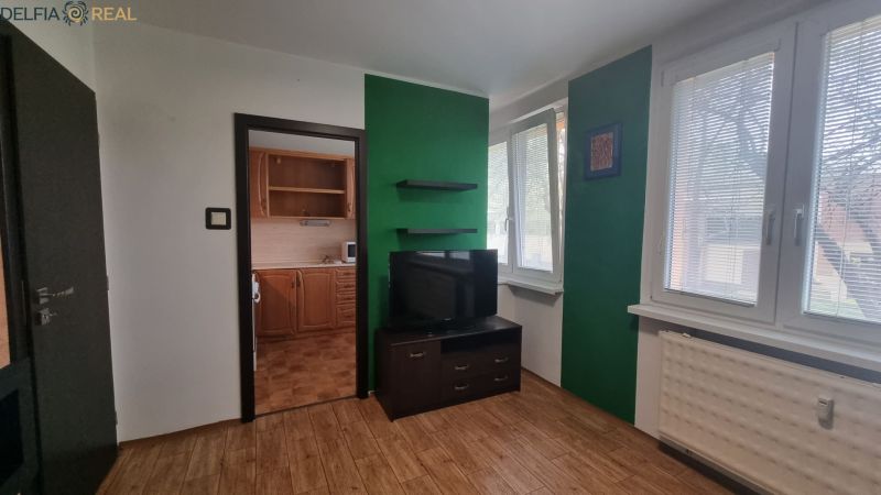A one-room apartment with a television, green walls, and a floor with a wooden decor.