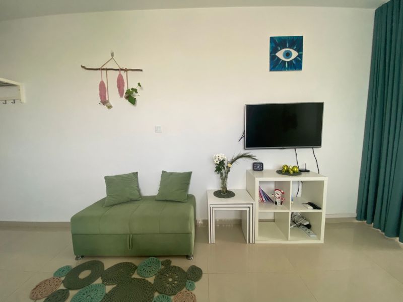 Living room in a one-room apartment with a green sofa and a television on the wall.
