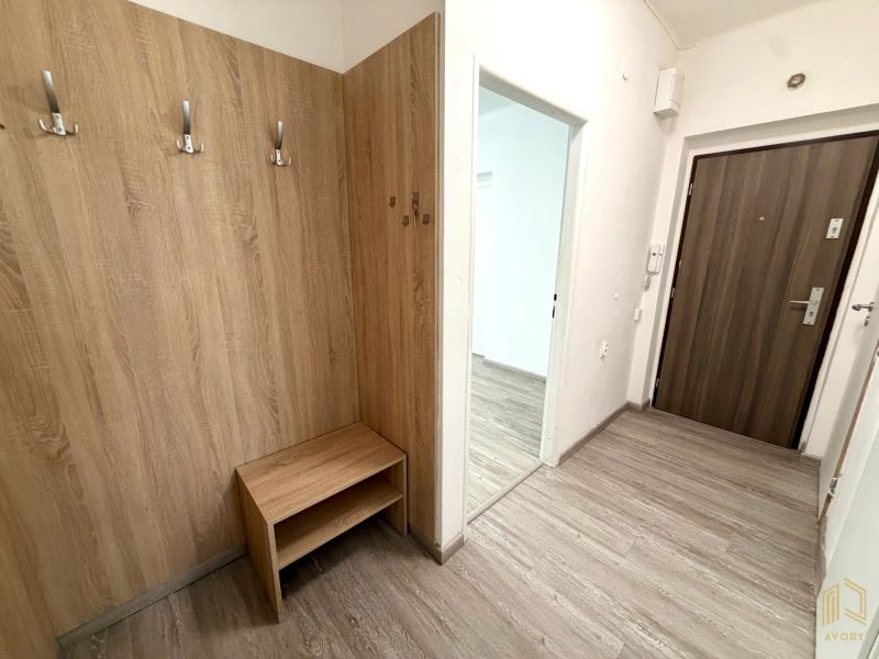 Entrance hallway in a 2-room apartment with a wooden decor floor and wall hooks.