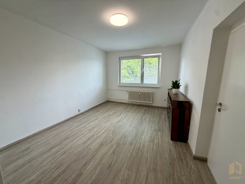 A room in a 2-room apartment with a wooden decor floor and a cabinet.