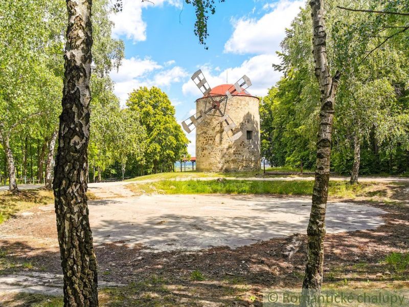 In Holíč, there is an old windmill surrounded by greenery and birch trees.