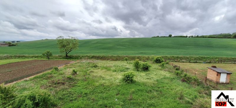 A vast green landscape near a family house in Stará Bašta with a field and trees.