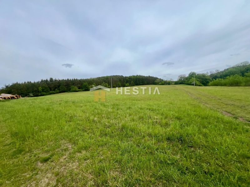 A vast green meadow near the forest in the vicinity of family houses in Myjava.