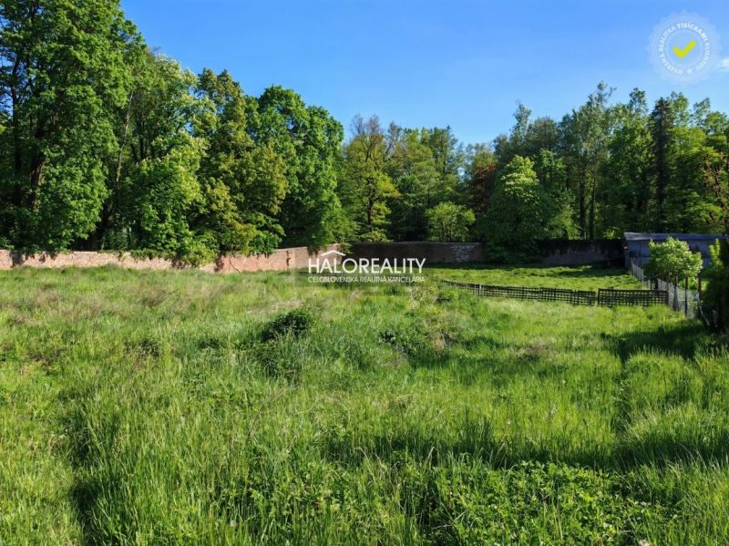 Greenery and a grassy plot bordered by a wall in Spišský Hrhov, suitable for living.