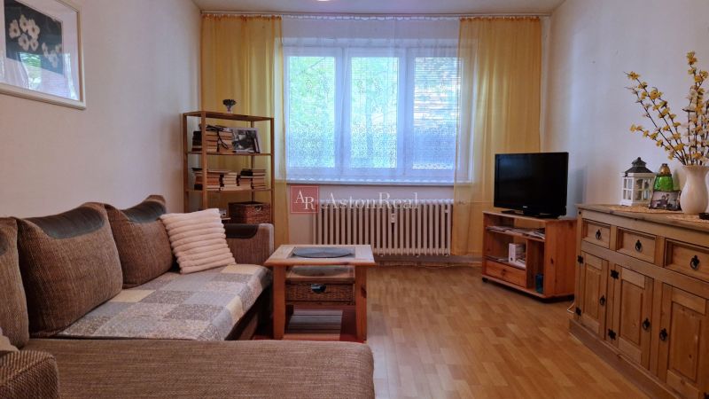 Living room in a two-room apartment with a wooden decor floor and a couch.