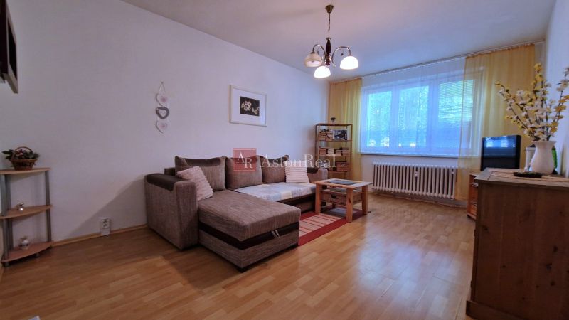 Living room in a two-room apartment with a comfortable sofa and a wooden-patterned floor.