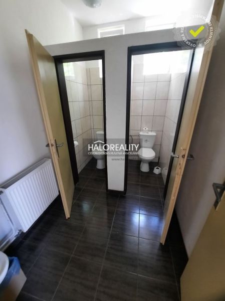 Gastro premises with a shared toilet and a floor with a wooden decor.