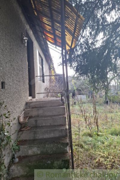 Overgrown surroundings of the cottage in Divín, staircase leading to the entrance door.