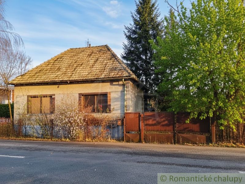 A cottage in the village of Divín with a front garden and a tree during late spring.