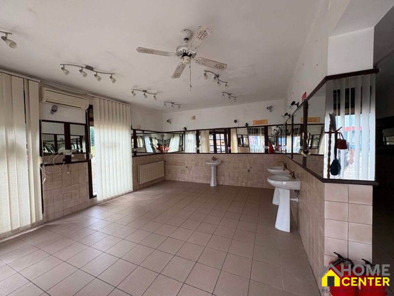 Commercial premises with tiles, sinks, mirrors, fan, and windows.