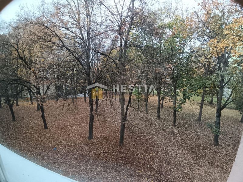 Autumn view from a 3-room apartment in Senica with fallen leaves and trees.